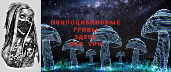 спайс Михайлов
