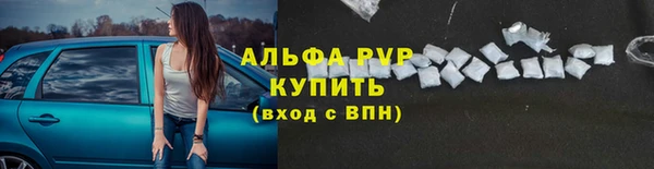 спайс Михайлов