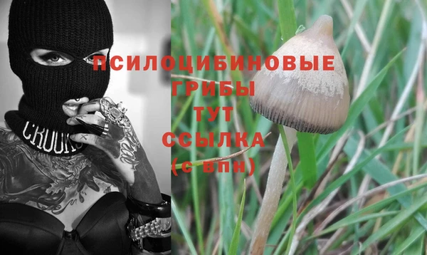 амфетамин Михайловск