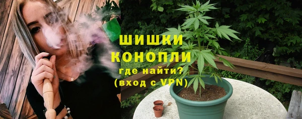 спайс Михайлов