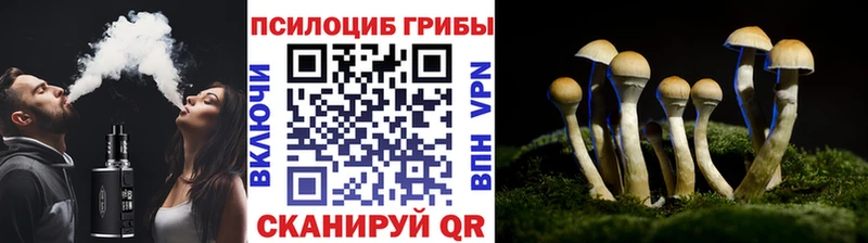 Псилоцибиновые грибы Psilocybine cubensis  Усолье-Сибирское 